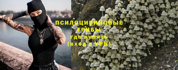 a pvp Алзамай