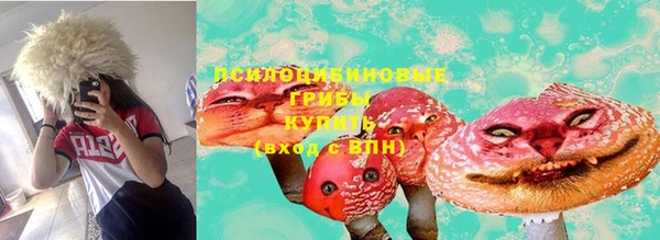 экстази Алексин