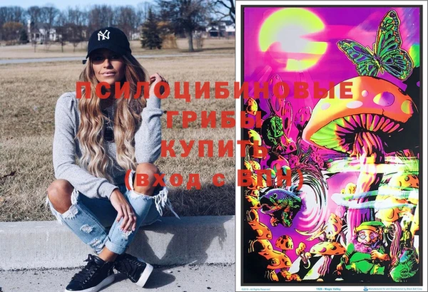 a pvp Алзамай