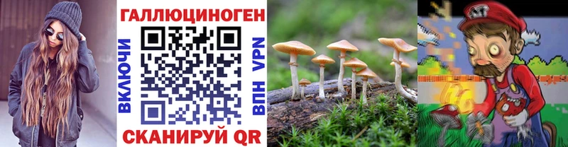 Галлюциногенные грибы Magic Shrooms Новороссийск