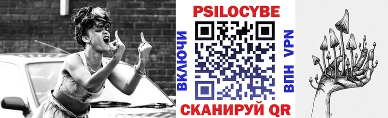 купить наркотик  Новороссийск  Псилоцибиновые грибы GOLDEN TEACHER 