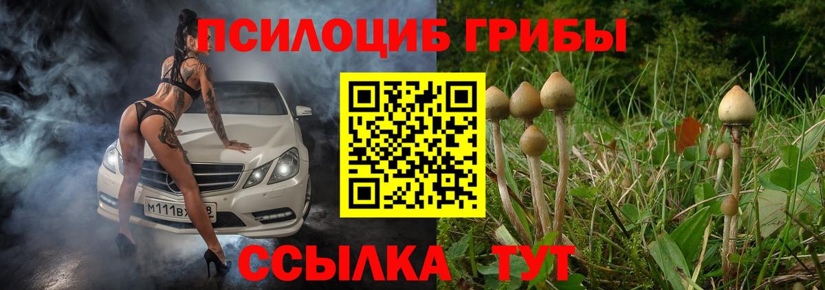 Псилоцибиновые грибы мухоморы  Псилоцибиновые грибы MAGIC MUSHROOMS  Вход с VPN  Новороссийск 
